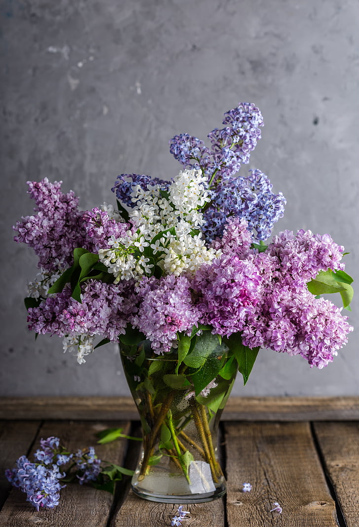 ungu, karangan bunga, musim semi, Cantik, mekar, alam, bunga