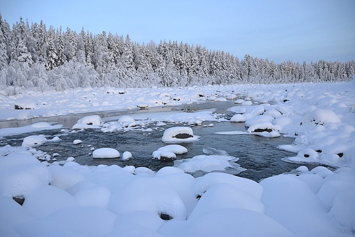 hiver, Laponie, Suède, hivernal, glacées