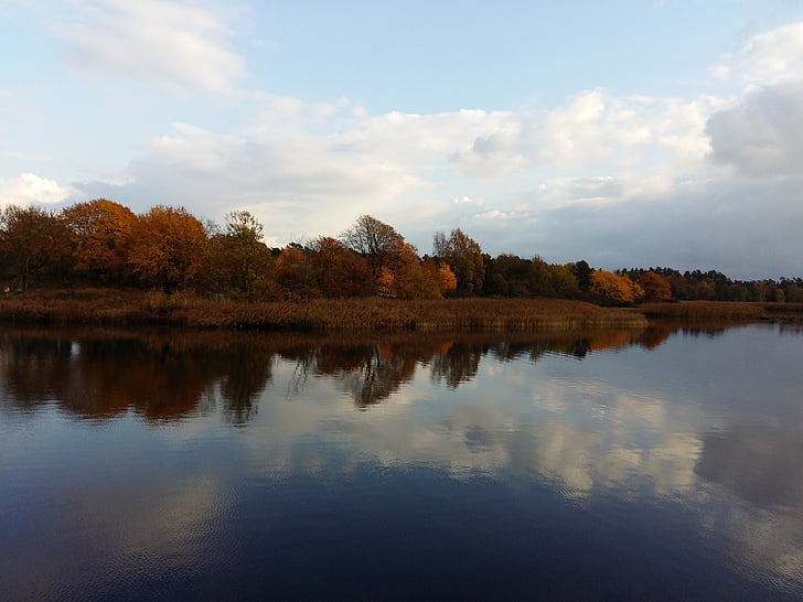 trees, autumn, water, sky, day, nature, fall