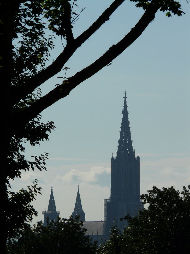 pemandangan, jauh, Münster, Katedral Ulm, Dom, Gereja, kabut