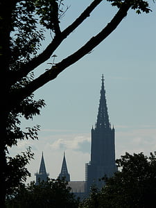 Prikaz, daleka, Münster, Ulm katedrala, dom, Crkva, sumaglica