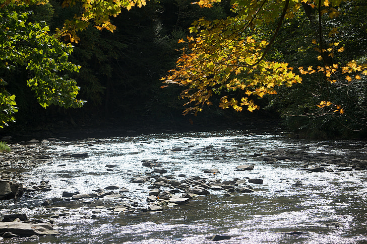 Rijeka, vode, priroda, krajolik, mirnom, jesen, sunčano