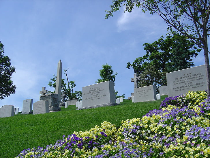 cimetière, tombe, Arlington, é.-u., champ de meurtre, Pierre tombale
