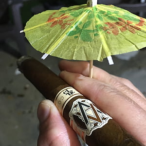 cigar, rain, umbrella, tobacco, avo, wet cigar