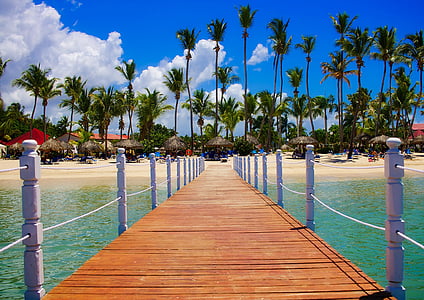 Dominik Cumhuriyeti, tropik, avuç içi, palmiye ağaçları, Deniz, okyanus, Yaz