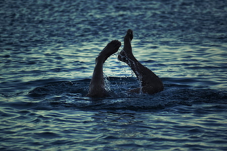 buceo, pies, hombre, buceo, nadar, mar, agua