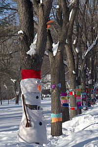 公园, 雪, 冬天, 树木, 自然, 感冒, 城市公园