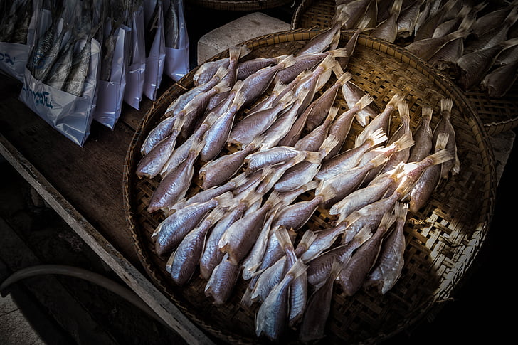 cá, Hải sản, thực phẩm, thị trường, invertebrate, Ban ngày, sinh học