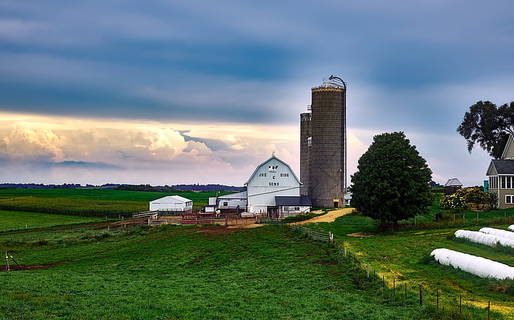 Wisconsin, Dairy farm, silo, stald, hus, landskab, naturskønne