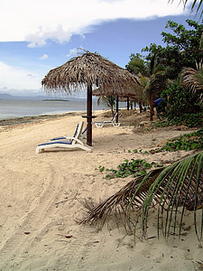 Fidži, plaža, tropi, odmor