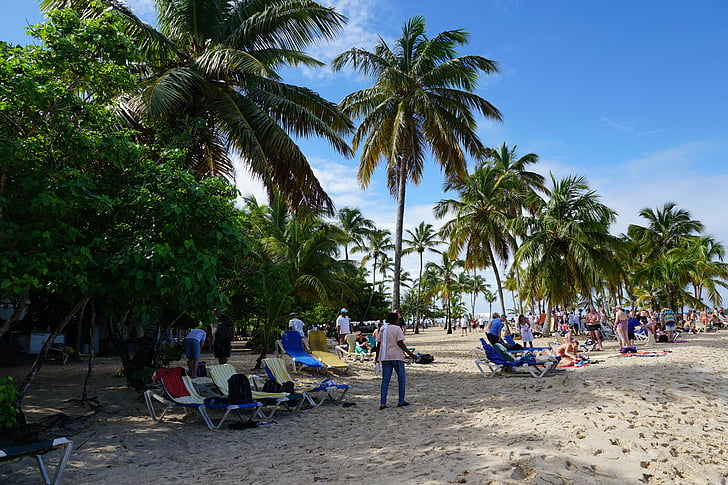 plage, Levantado, île de Bacardi, Caraïbes