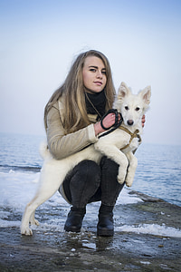hund, Laika, dyr, kæledyr, Arktis, sne, vinter