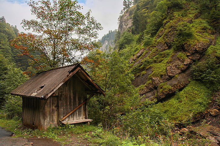 Áustria, Voralberg, Montafon, log cabin, cabana, montanhas, árvores