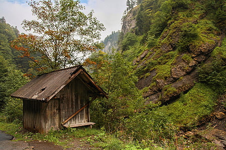 Austria, voralberg, Montafon, kabin, Hut, pegunungan, pohon