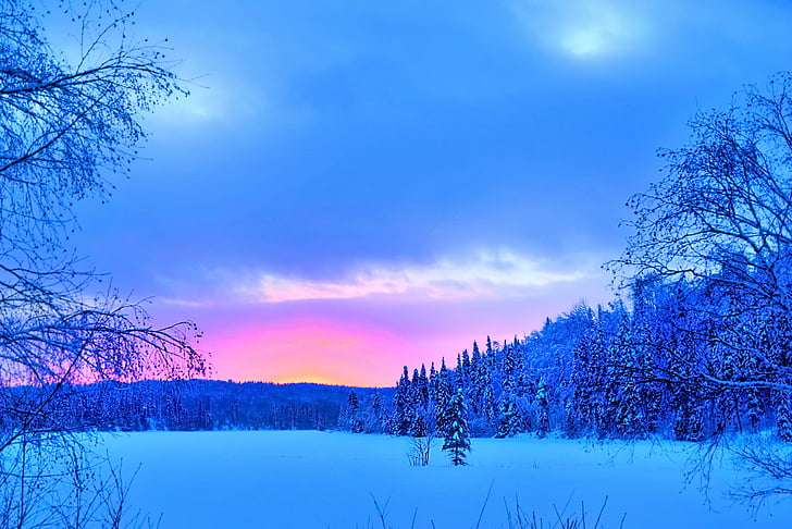 Zimní krajina, sníh, Les, stromy, chlad, Zimní, Québec