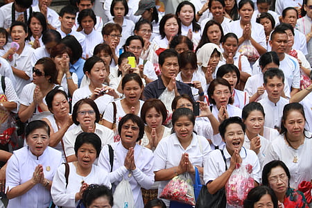 妇女, 佛教徒, 祈祷, 人, 泰国, 亚洲, 扫管笏