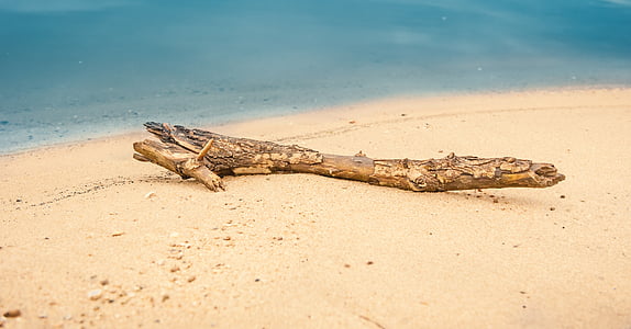 παρασυρόμενα ξύλο, επιπλέοντα, παραλία, νερό, Άμμος, παραλία με άμμο, υποκατάστημα