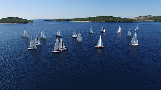 regatta, sailboats, yachts, water, lake, port, sea