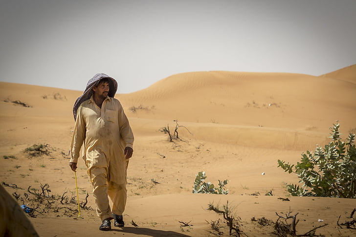 tuksnesis, Emirāti, Nero, beduīnu, kamielis, karstā, dromedary