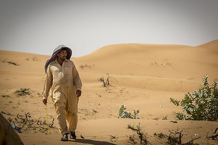 puščava, emirati, Nero, Beduin, kamele, vroče, dromedar