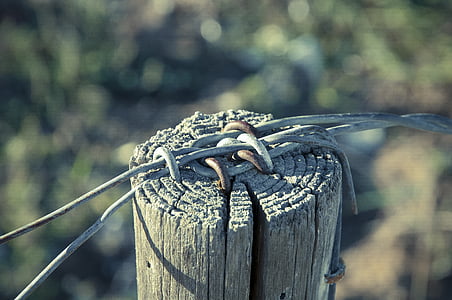 wire, post, fence, pile, demarcation, fence post, wiring