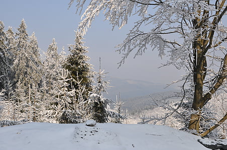 mùa đông, tuyết, dãy núi, cây, cảnh quan, Xem, Cộng hoà Séc