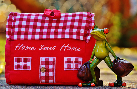 Domov, doma, Príchod, žaba, smiešny, vozík, textílie