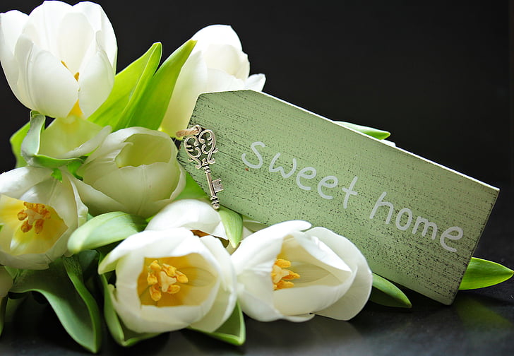 tulipani, Tulipan, ščit, sladki dom, ključ, keychain, obeski za ključe sladki dom