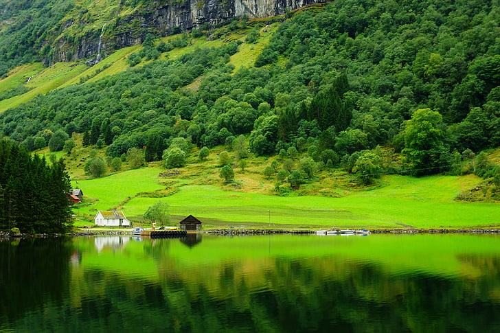 der fjord, Norwegen, songne, Nordic