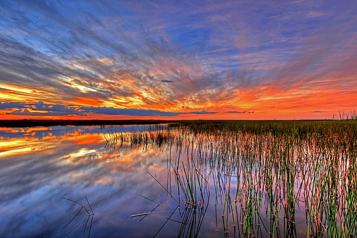 sunset, landscape, sky, colorful, water, everglades, swamp