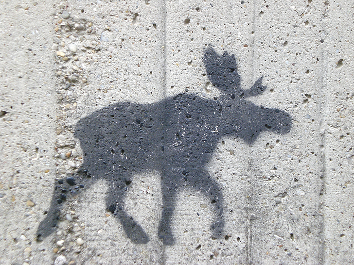 moose, wall, figure