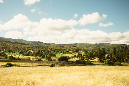 το πεδίο, τοπίο, φύση, αγροτική σκηνή, Γεωργία, λόφου, αγρόκτημα