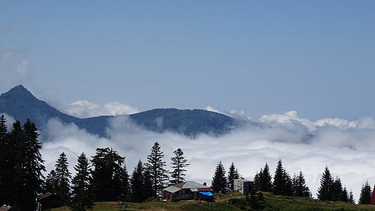 ceaţă, Cabana, peisaj, pădure, Munţii, zona rurală, sat