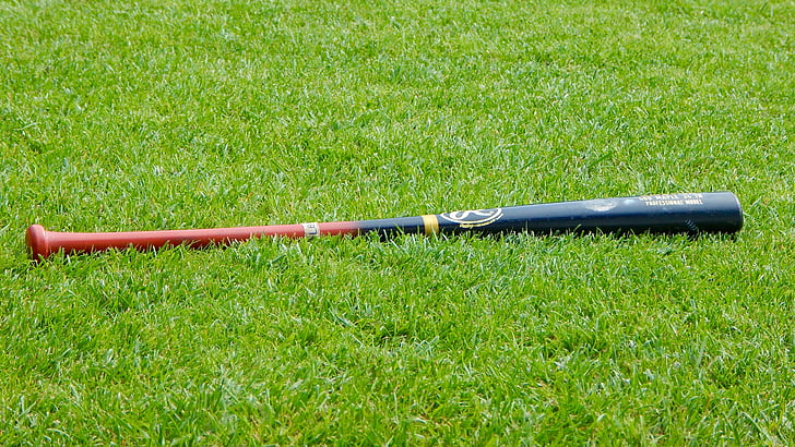 baseball, baseball bat, sport, prato, grass, green, nature