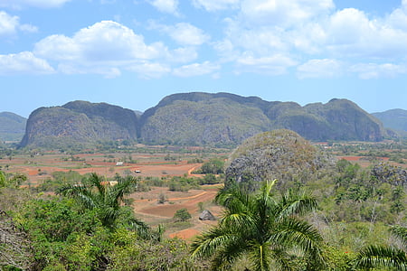 cuba, vinalestal, nature, caribbean, palm trees, tropical, landscape
