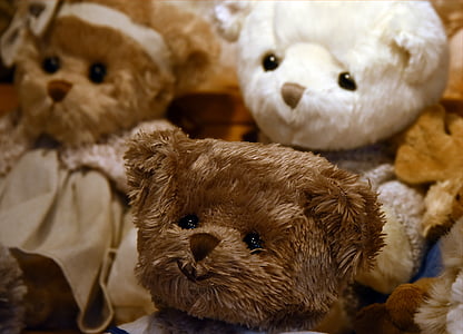 orso, giocattolo, cucciolo di orso, orso peluche, Teddy bear, peluche, occhi