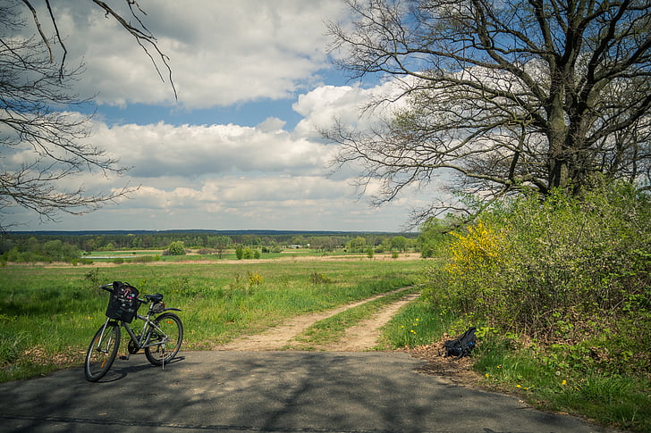 bicicleta, natureza, vila, passeio, Polônia, caminho, árvore
