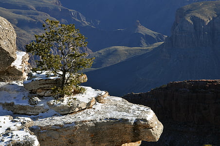 Grand canyon, Arizona, ngarai, musim dingin, pohon, langkan, salju