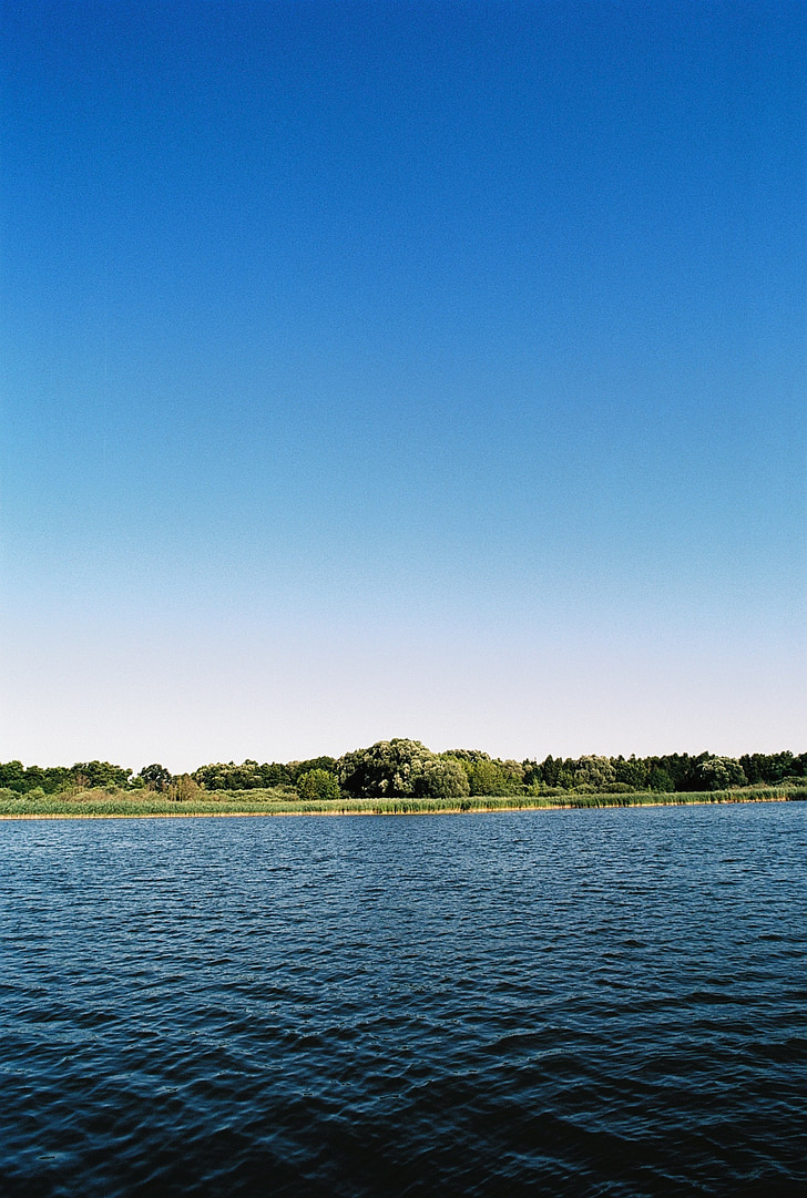 sun, lake, reed, landscape, water