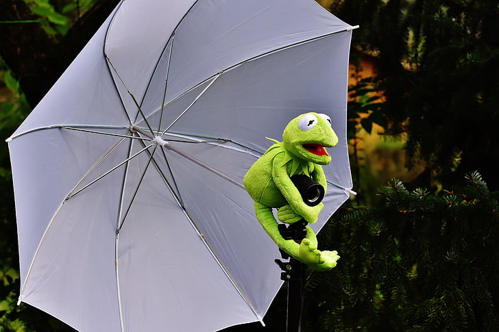 Kermit, pantalla de fotos, granota, divertit, joguina suau, animal de peluix, valent