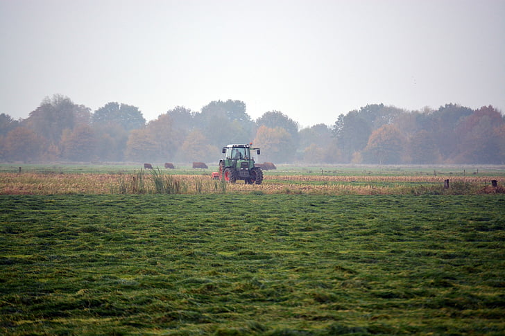 tracteurs, moisson, Agriculture, Meadow, paysage, pâturage, terres arables