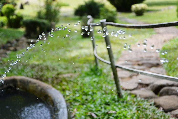 watering, water drops, drops, dripping, nature, garden, peradeniya