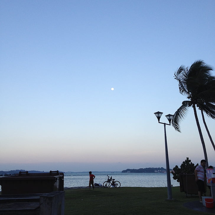 večer, nebo, kokos, plaža, Vjetar, Svijećnjak, bicikala