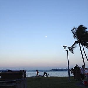 вечір, небо, кокосове, пляж, Вітер, ліхтарний стовп, велосипед