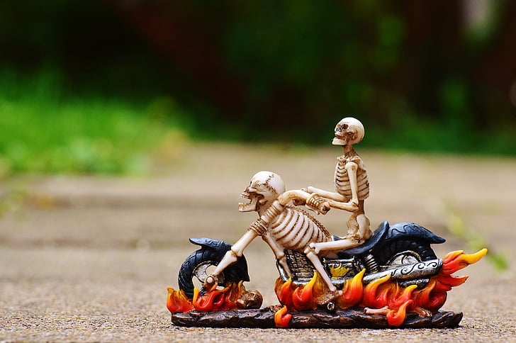 biciklist, kostur, jezivo, čudno, dekoracija, zastrašujuće, kosti