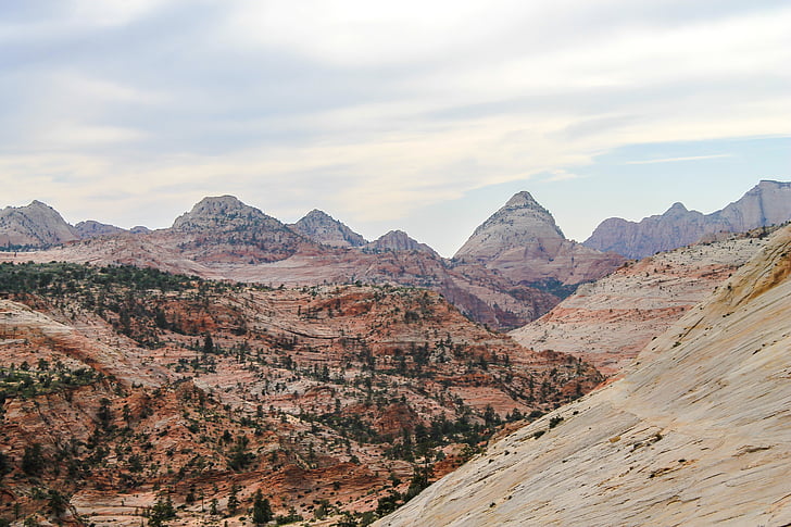 Zion, bjerge, Utah, Park, natur, nationale, landskab