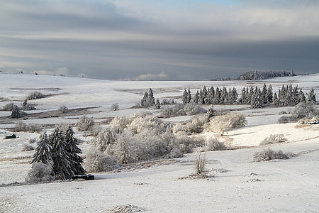 ฤดูหนาว, หิมะ, ฤดูหนาว, hochrhoen, wasserkuppe, ฤดูหนาว rhön, หิมะ