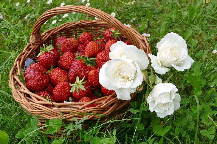aardbeien, witte rozen, wilgen mand, zomer, vruchten, bloemen, weide