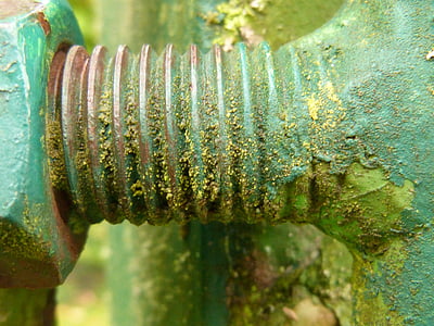 thread, steel, moss, weathered, old, screw, rusty