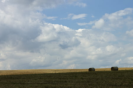 arable, field, hay bales, agriculture, landscape, wide, harvest